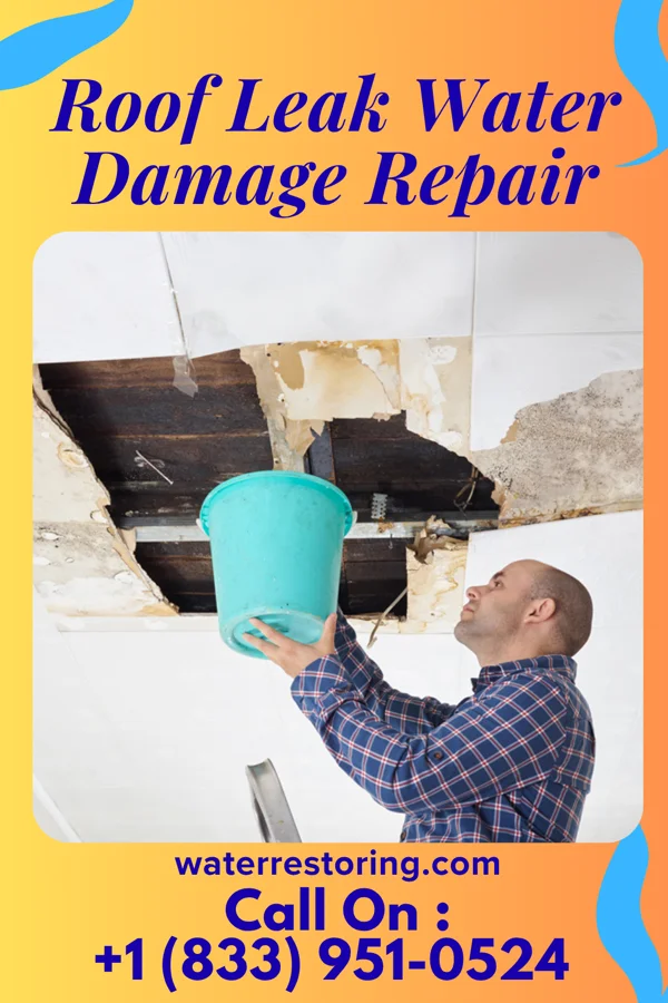Roof Leak Water Damage Repair in Burgess, MO